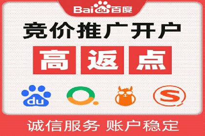 成功案例解析：SEO与SEM协同营销策略